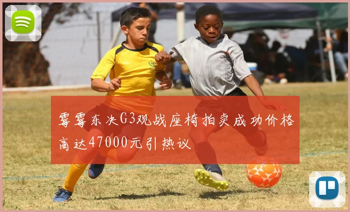 霉霉东决G3观战座椅拍卖成功价格高达47000元引热议